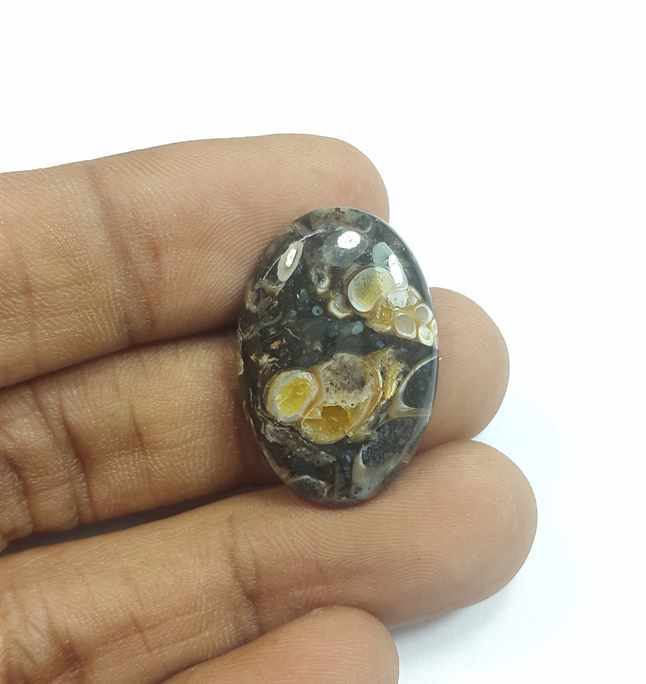 13.79 Carats Tutela Fossil 25.78 x 17.46 x 4.30 mm