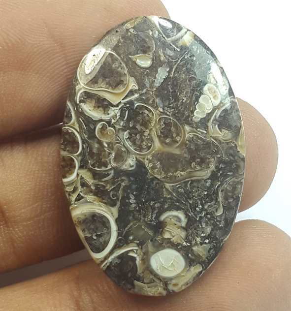20.67 Carats Tutela Fossil 32.09 x 21.02 x 3.86 mm