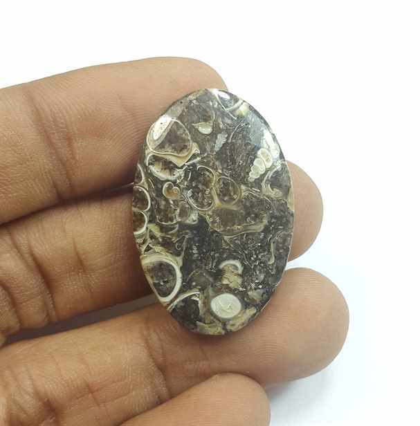 20.67 Carats Tutela Fossil 32.09 x 21.02 x 3.86 mm