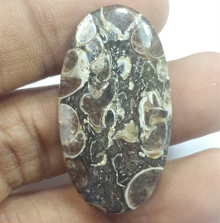29.92 Carats Tutela Fossil 36.24 x 19.90 x 5.42 mm
