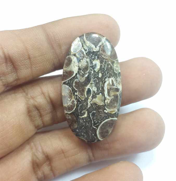 29.92 Carats Tutela Fossil 36.24 x 19.90 x 5.42 mm