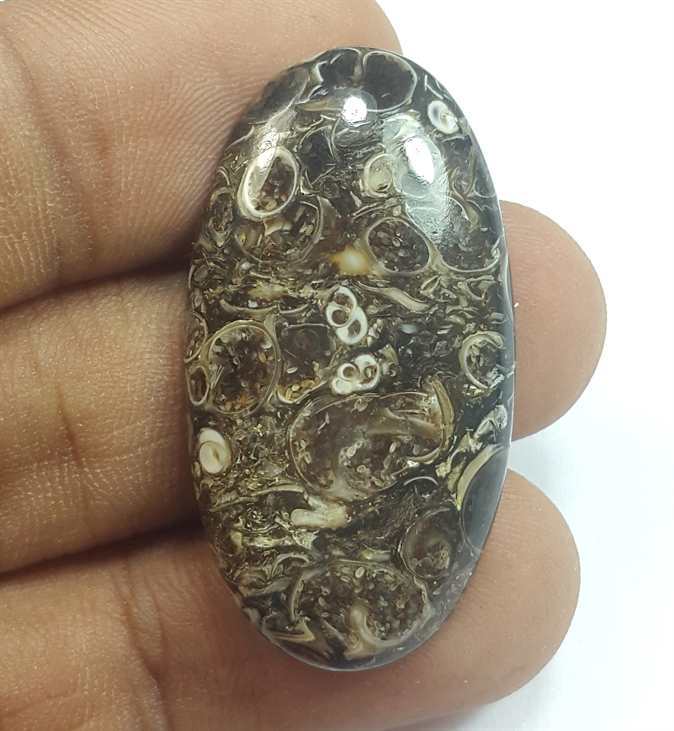 22.97 Carats Tutela Fossil 35.98 x 19.37 x 4.49 mm