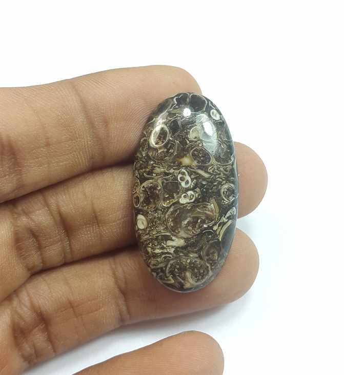22.97 Carats Tutela Fossil 35.98 x 19.37 x 4.49 mm