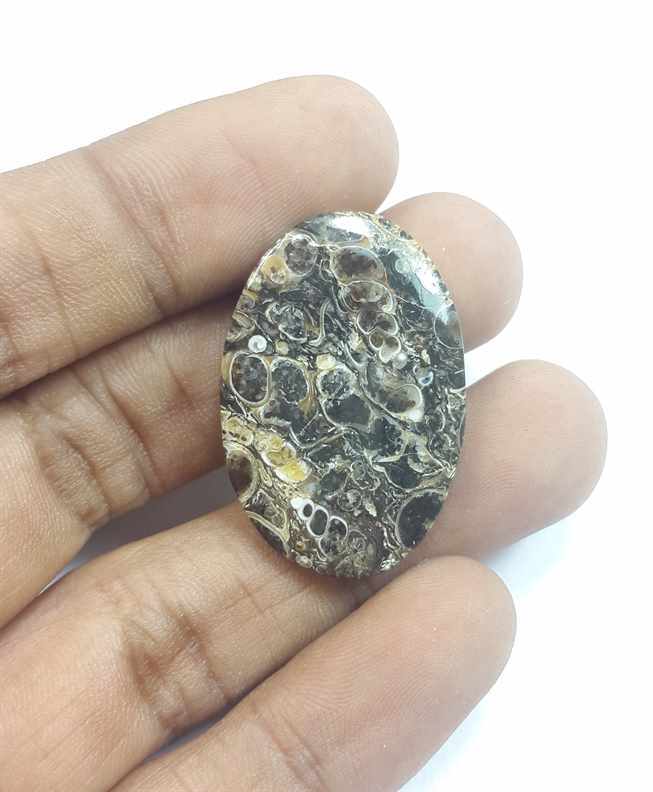 23.26 Carats Tutela Fossil 31.56 x 21.20 x 3.89 mm