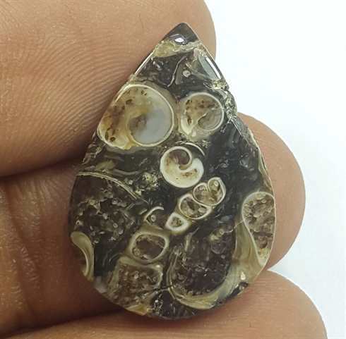 9.85 Carats Tutela Fossil 23.91 x 16.63 x 3.54 mm
