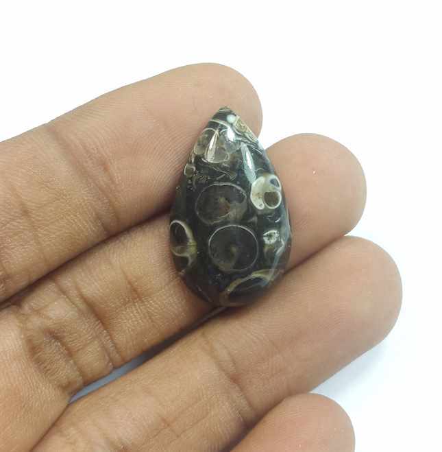 13.25 Carats Tutela Fossil 25.08 x 15.34 x 5.38 mm