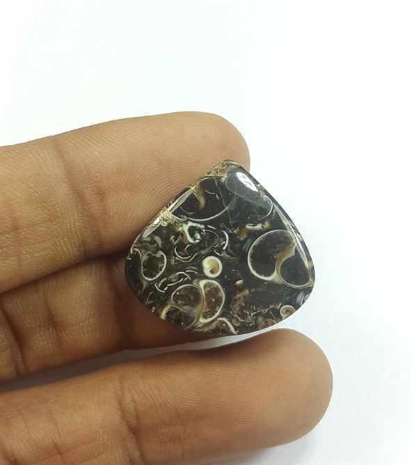 16.94 Carats Tutela Fossil 22.04 x 23.58 x 4.35 mm