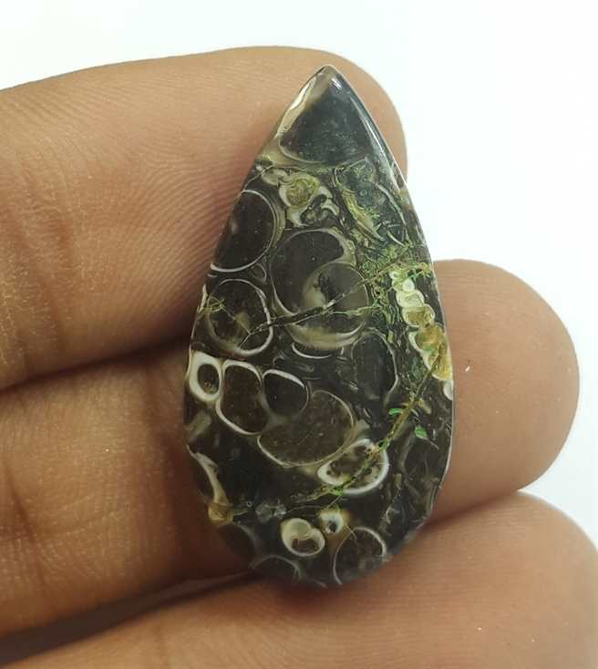14.87 Carats Tutela Fossil 29.38 x 15.31 x 4.61 mm