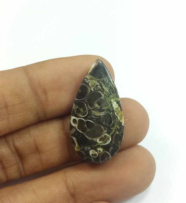 14.87 Carats Tutela Fossil 29.38 x 15.31 x 4.61 mm