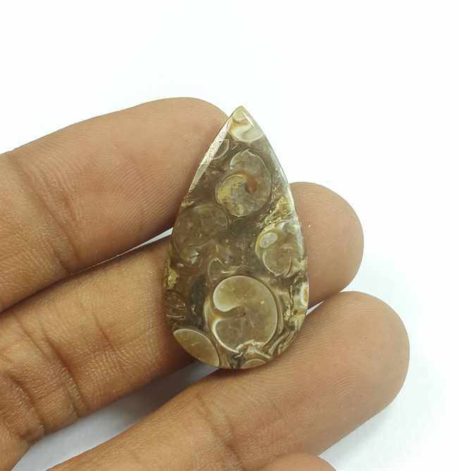 10.38 Carats Tutela Fossil 30.94 x 17.26 x 2.54 mm