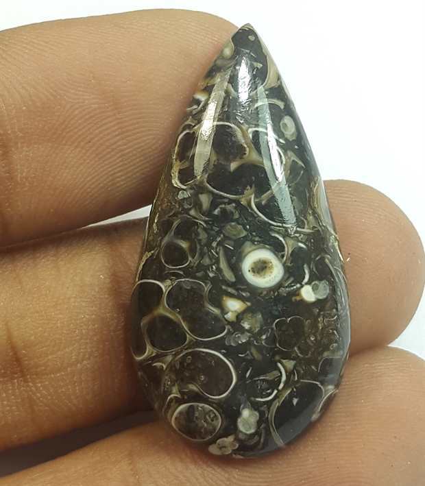 19.02 Carats Tutela Fossil 33.76 x 17.24 x 5.11 mm