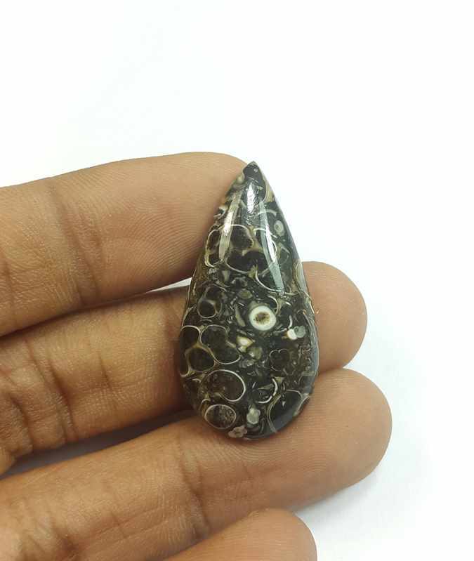 19.02 Carats Tutela Fossil 33.76 x 17.24 x 5.11 mm