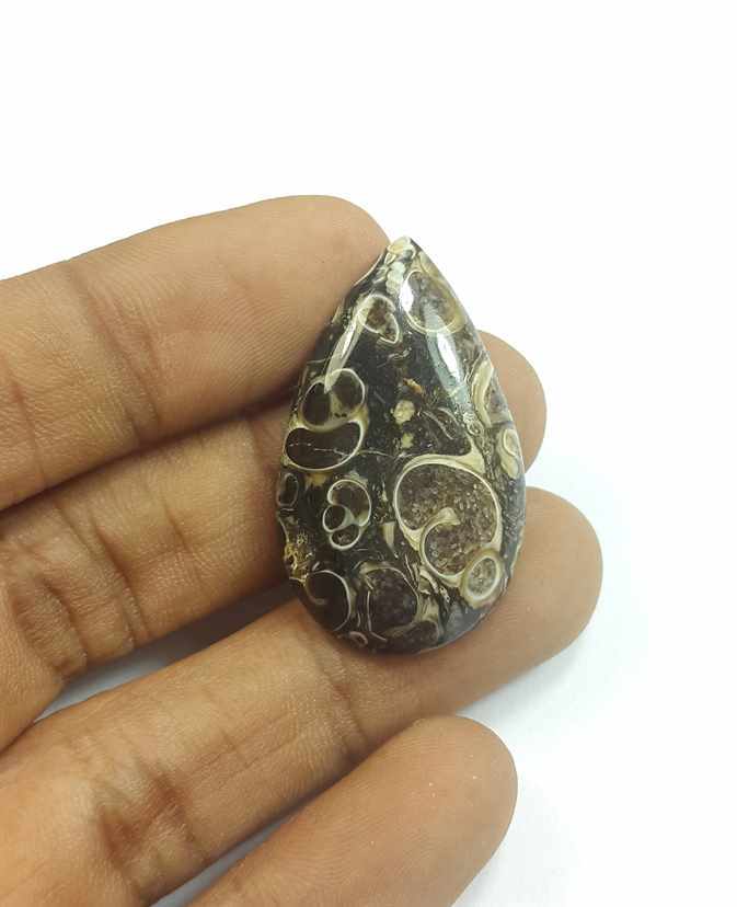 24.69 Carats Tutela Fossil 34.56 x 20.71 x 5.16 mm