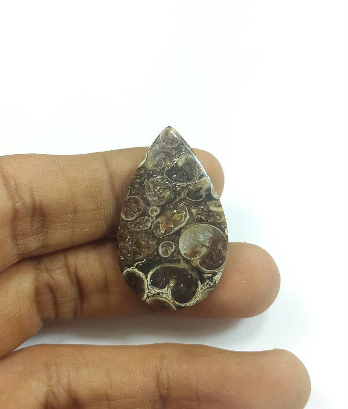 22.18 Carats Tutela Fossil 23.85 x 20.71 x 4.16 mm