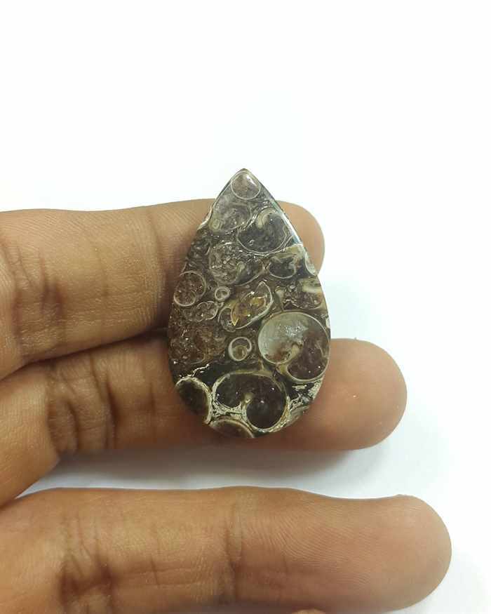 22.18 Carats Tutela Fossil 23.85 x 20.71 x 4.16 mm