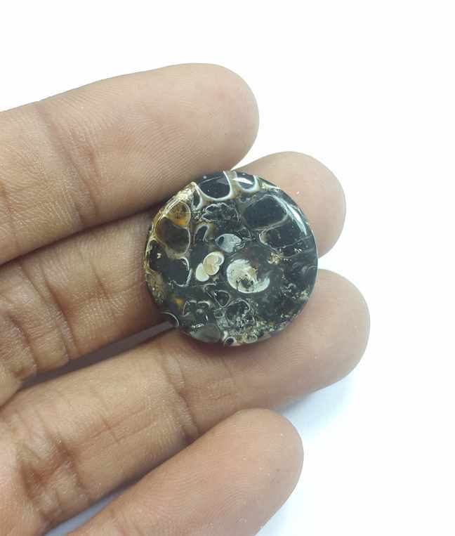14.38 Carats Turritella Fossil 21.29 x 21.29 x 3.81 mm