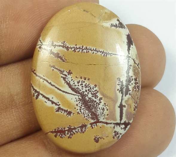 24.49 Carats Sonora Dendritic 29.94 x 21.97 x 4.45 mm