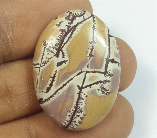 24.45 Carats Sonora Dendritic 29.65 x 21.60 x 4.85 mm