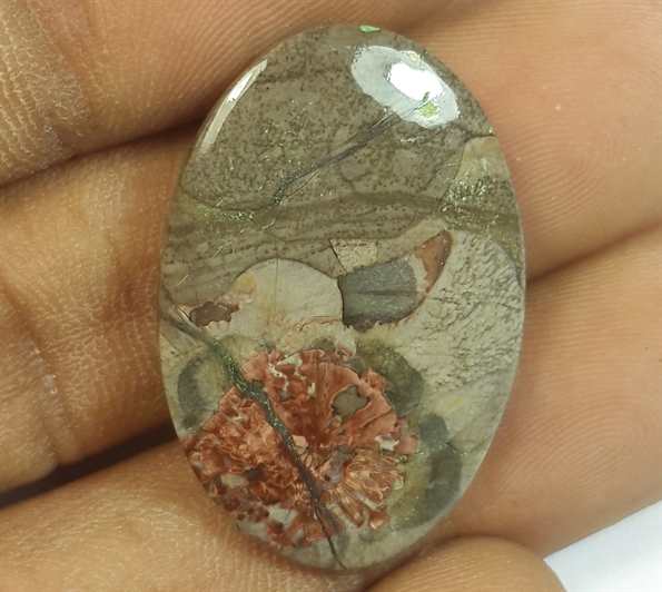 14.45 Carats Mushroom Rhyolite 27.77 x 18.44 x 3.57 mm