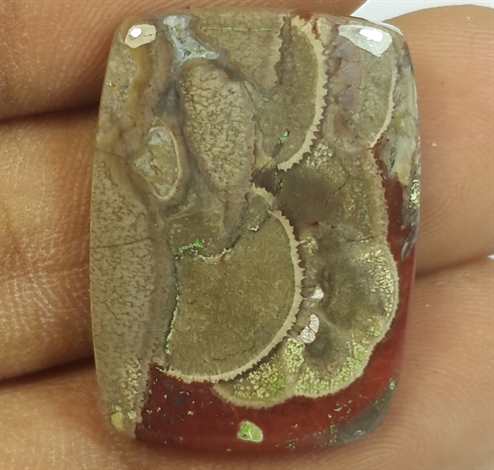 17.39 Carats Mushroom Rhyolite 25.33 x 18.25 x 4.03 mm