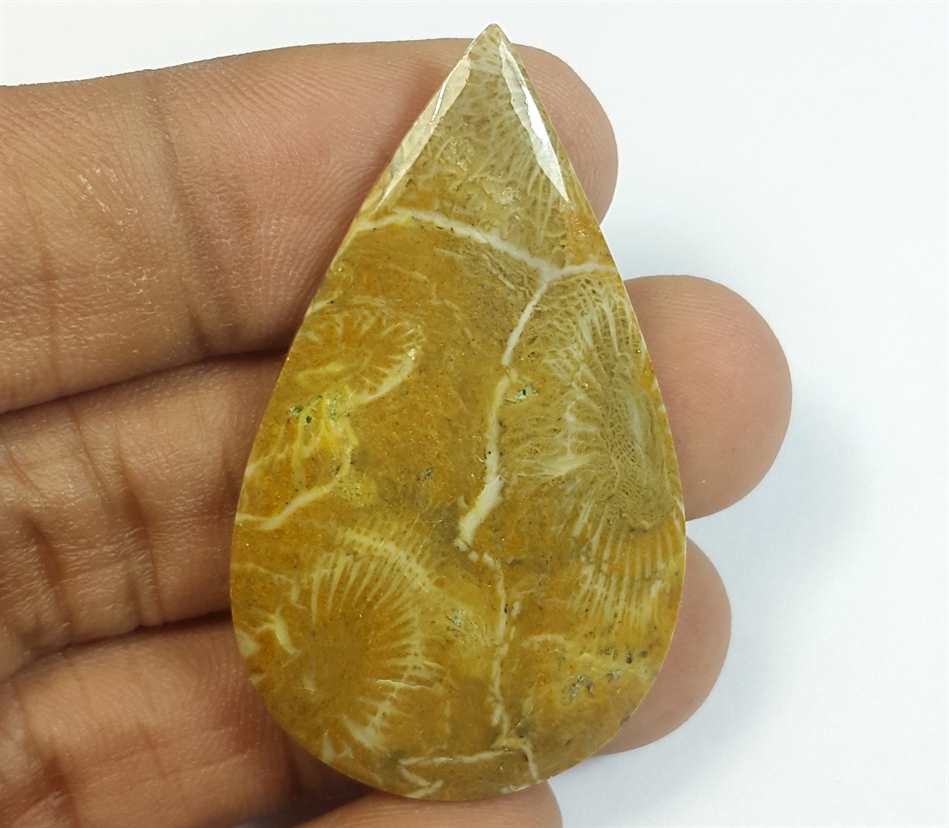 36.77 Carats Morocco Fossil Coral 45.02 x 26.10 x 4.42 mm