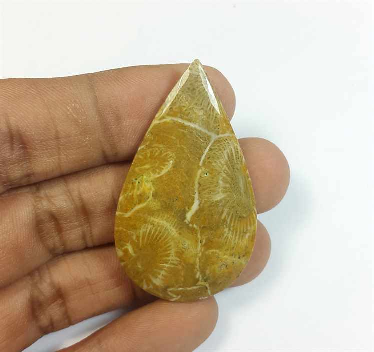 36.77 Carats Morocco Fossil Coral 45.02 x 26.10 x 4.42 mm