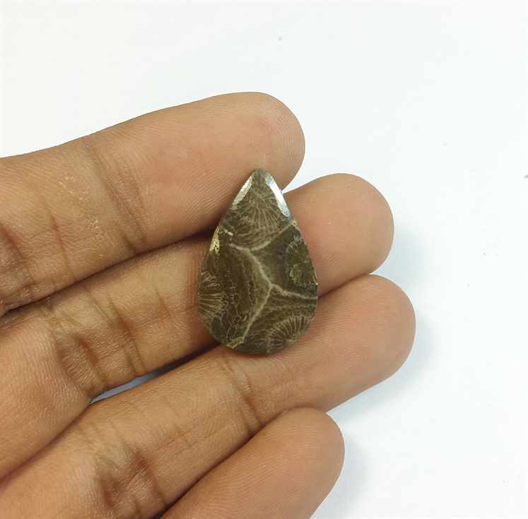 11.55 Carats Morocco Fossil Coral 24.17 x 15.73 x 4.00 mm