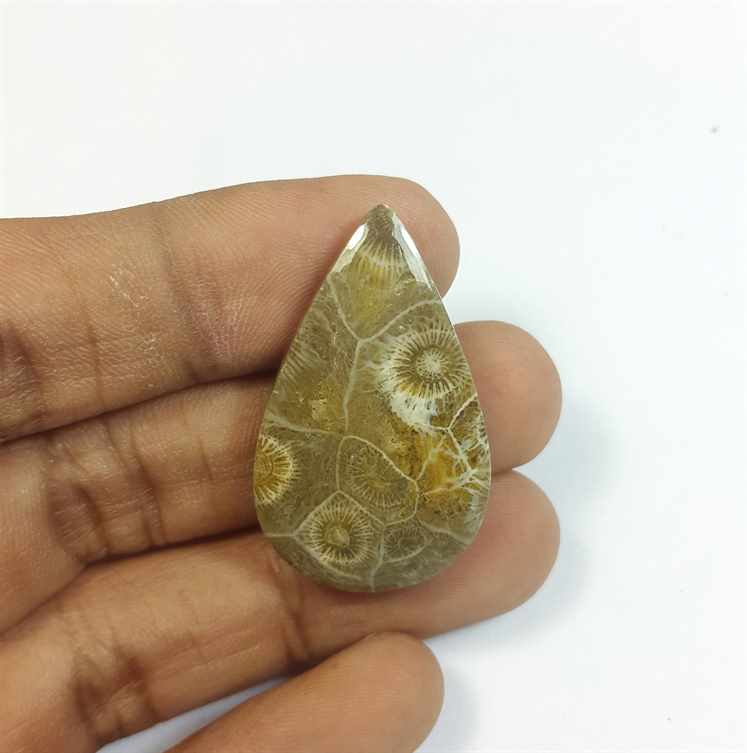 30.85 Carats Fossil Coral Morocco 34.80 x 21.25 x 5.52 mm