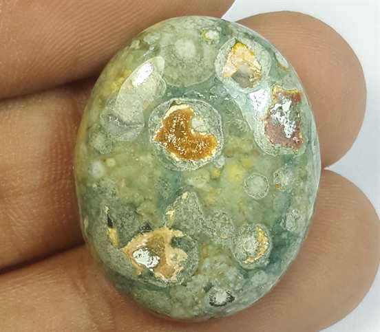 21.84 Carats Rhyolite Rainforest Jasper 26.29 x 21.02 x 6.15 mm