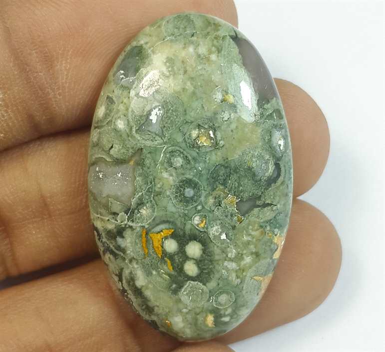 44.91 Carats Rhyolite Rainforest Jasper 26.92 x 19.17 x 5.47 mm