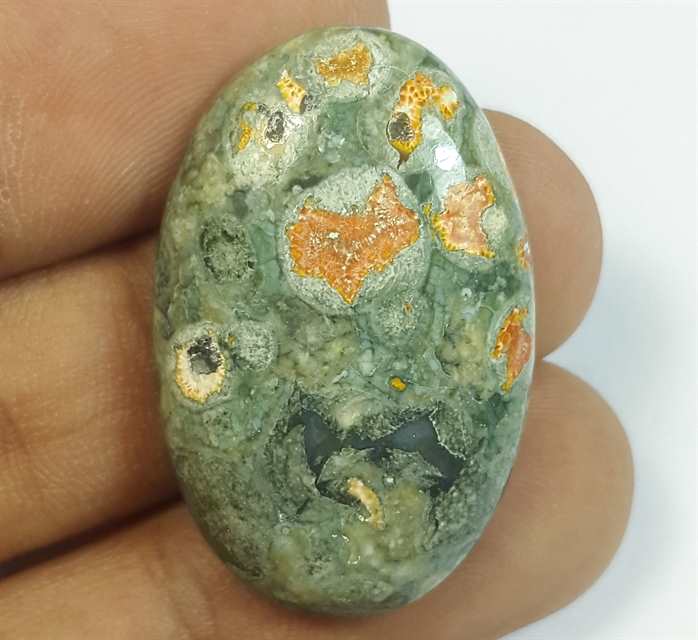 27.49 Carats Rhyolite Rainforest Jasper 43.19 x 22.52 x 5.70 mm