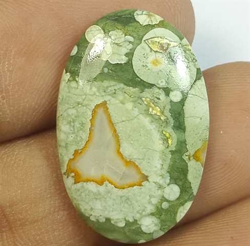 8.93 Carats Rhyolite Rainforest Jasper 23.68 x 15.62 x 3.32 mm