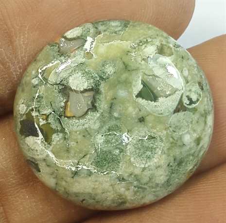 18.55 Carats Rhyolite Rainforest Jasper 22.64 x 22.64 x 5.20 mm