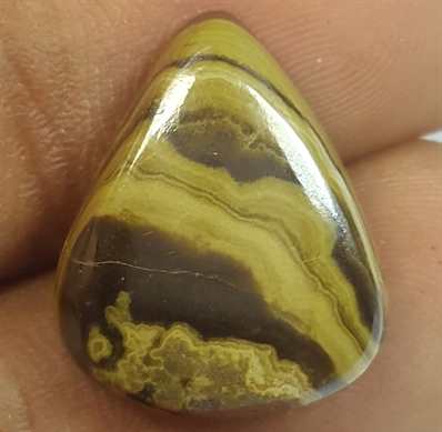 16.04 Carats Schalenblende 17.93 x 14.6 x 5.07 mm