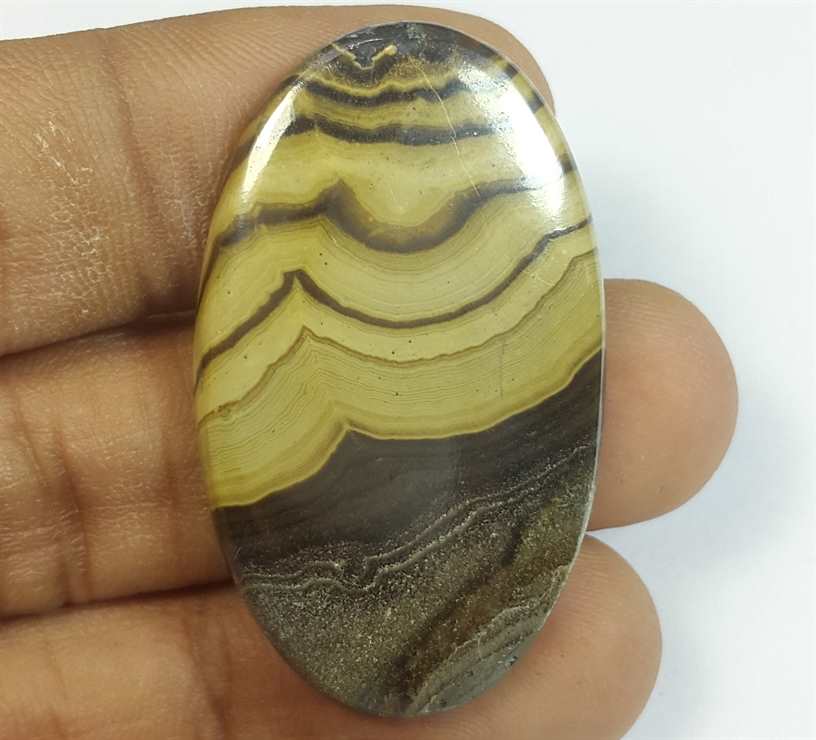 49.57 Carats Schalenblende 39.36 x 23.09 x 4.05 mm