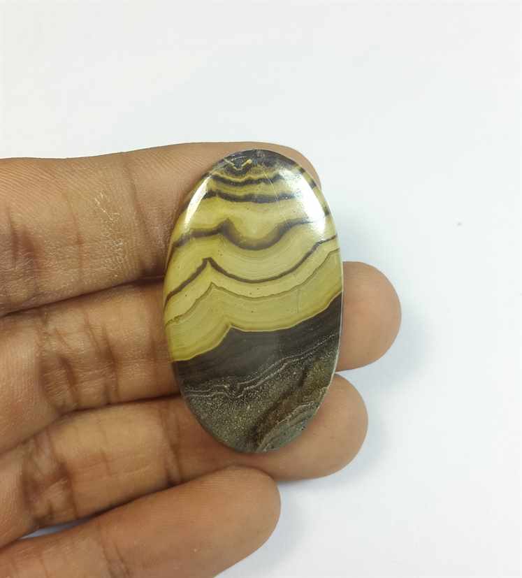 49.57 Carats Schalenblende 39.36 x 23.09 x 4.05 mm