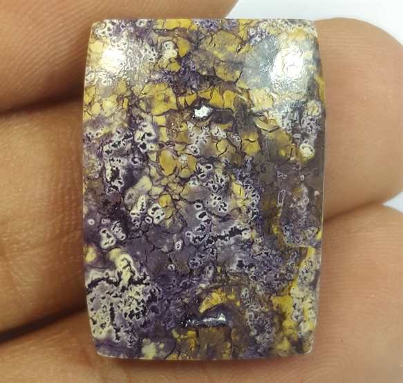 18.78 Carats Tiffany Jasper 23.72 x 16.93 x 4.77 mm