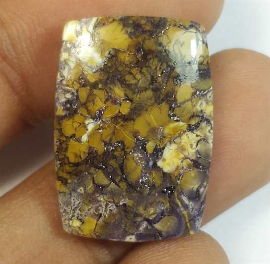13.25 Carats Tiffany Jasper 22.33 x 15.74 x 3.97 mm
