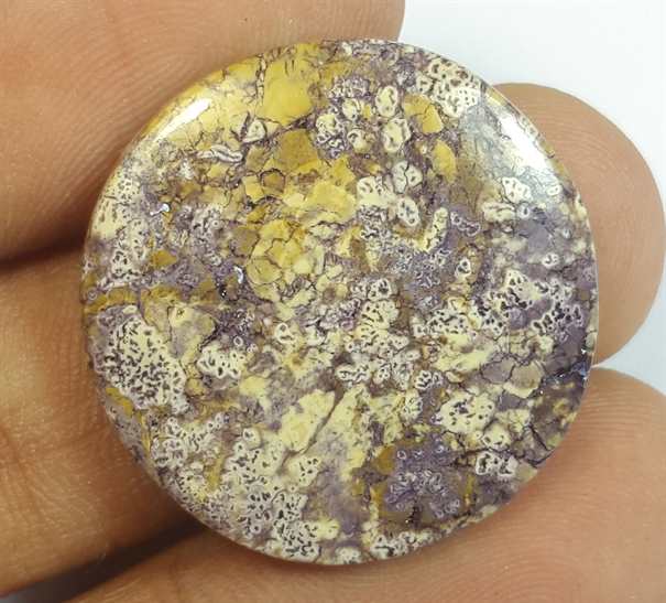 16.28 Carats Tiffany Jasper 24.31 x 24.31 x 3.63 mm