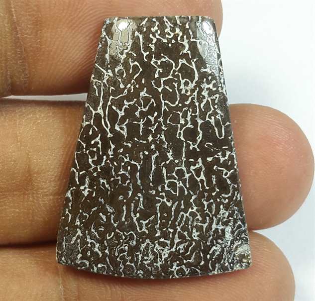 18.55 Carats Dinosour Bone 29.19 x 21.96 x 3.81 mm