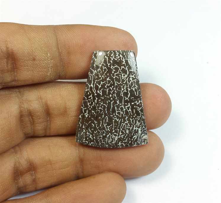 18.55 Carats Dinosour Bone 29.19 x 21.96 x 3.81 mm