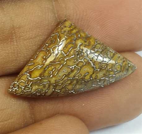 10.38 Carats Dinosour Bone 26.20 x 14.98 x 5.03 mm