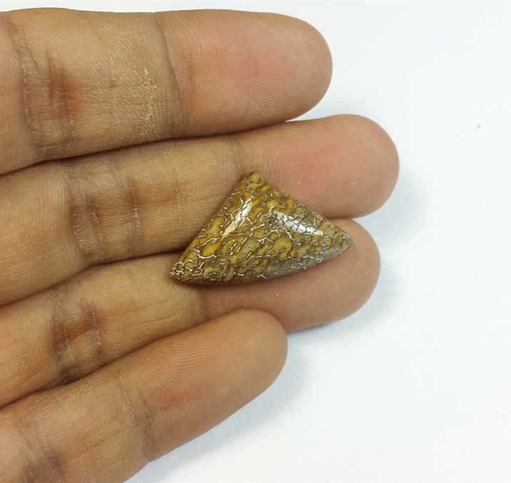 10.38 Carats Dinosour Bone 26.20 x 14.98 x 5.03 mm