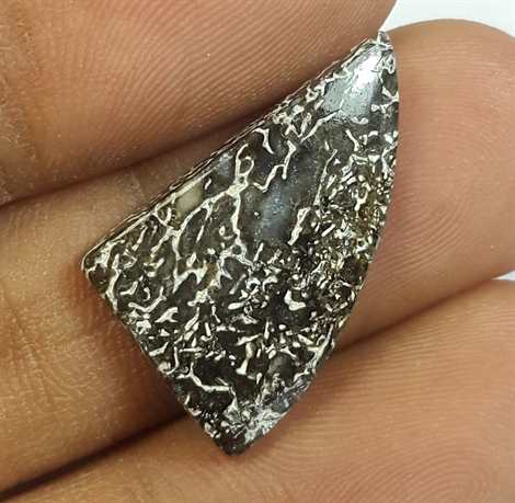 7.77 Carats Dinosour Bone 24.08 x 13.93 x 3.41 mm