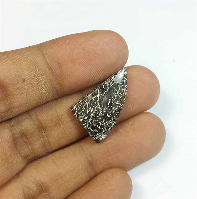 7.77 Carats Dinosour Bone 24.08 x 13.93 x 3.41 mm