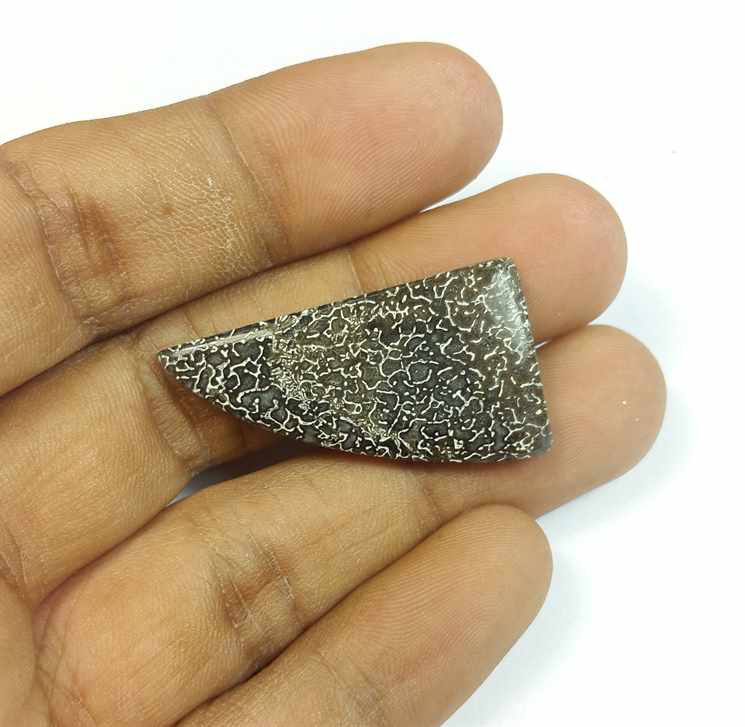 18.28 Carats Dinosour Bone 33.24 x 17.94 x 3.96 mm