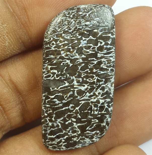 24.34 Carats Dinosour Bone 32.86 x 16.11 x 4.82 mm