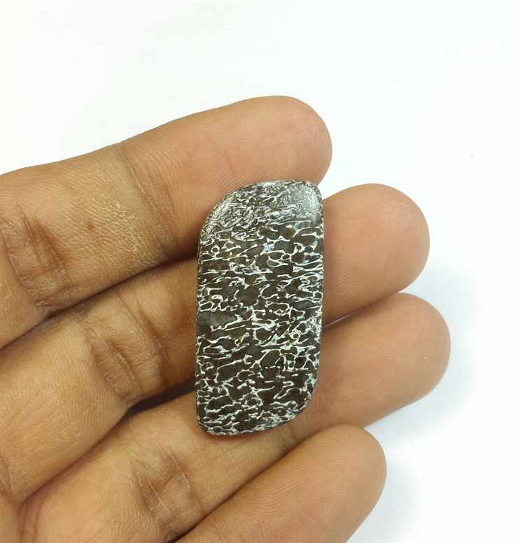24.34 Carats Dinosour Bone 32.86 x 16.11 x 4.82 mm