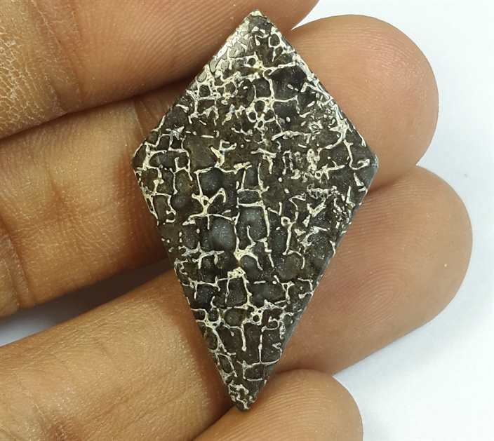 16.35 Carats Dinosour Bone 33.46 x 20.36 x 3.92 mm