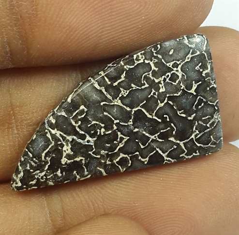 13.31 Carats Dinosour Bone 26.72 x 14.73 x 3.76 mm